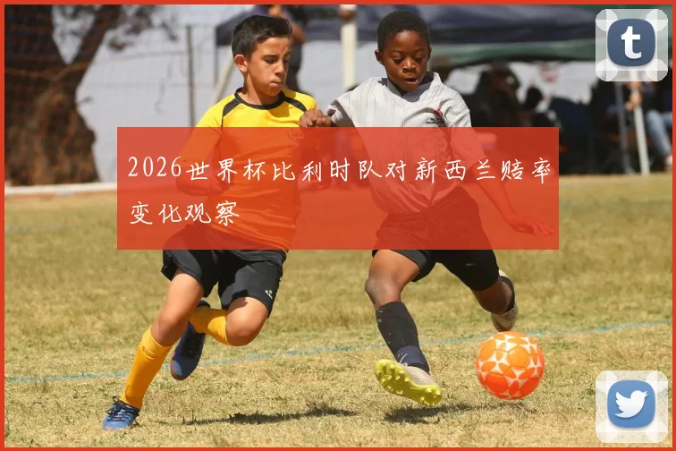 2026世界杯比利时队对新西兰赔率变化观察