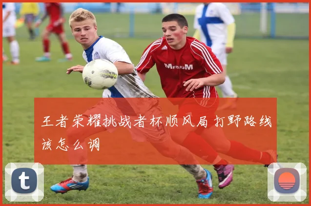 王者荣耀挑战者杯顺风局打野路线该怎么调